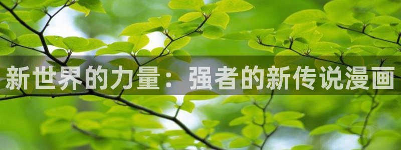 男男腐漫画网